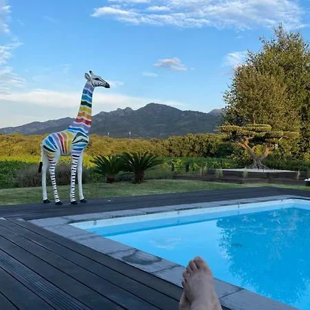 Casa Albera Contemporaine Piscine Vue Montagne 4*