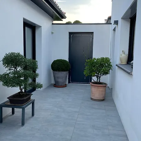 Casa Albera Contemporaine Piscine Vue Montagne Gasthof Laroque-des-Albères