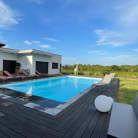 Casa Albera Contemporaine Piscine Vue Montagne Laroque-des-Albères