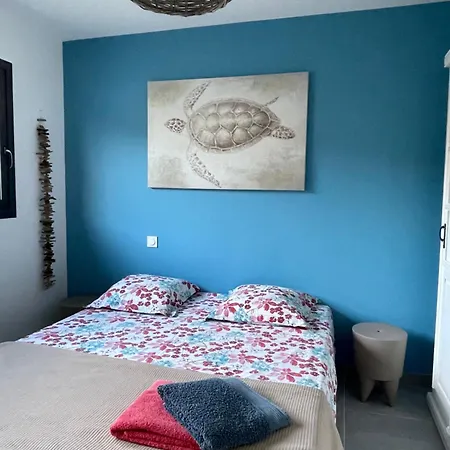 Casa Albera Contemporaine Piscine Vue Montagne 4* Laroque-des-Albères