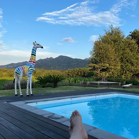 Maison d'hôtes Casa Albera Contemporaine Piscine Vue Montagne 4*